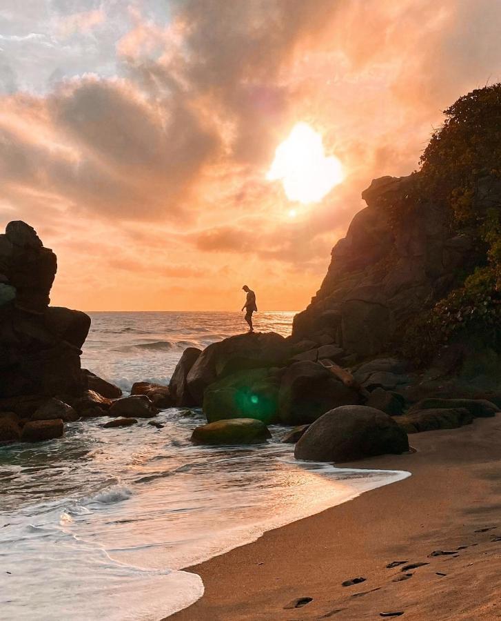 Casa Bambu Tayrona, لوس نارانخوس المظهر الخارجي الصورة