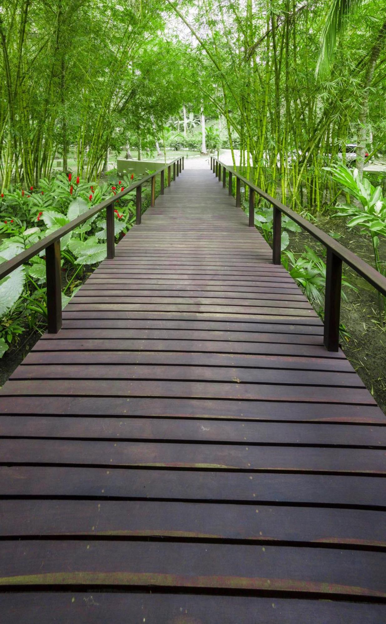 Casa Bambu Tayrona, لوس نارانخوس المظهر الخارجي الصورة